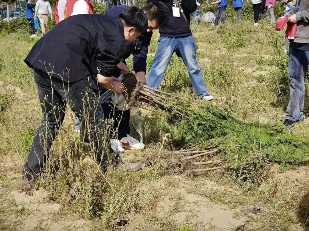 640 (1).jpg 640 (1).jpg