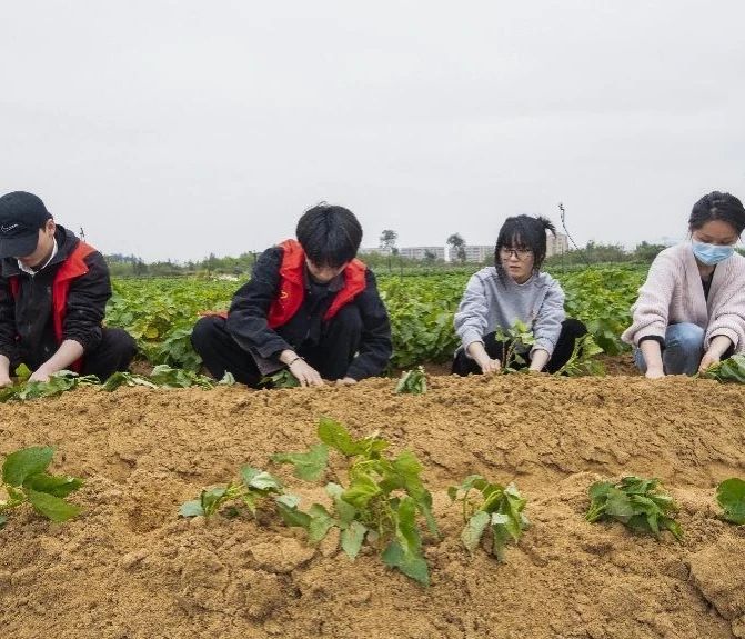 微信图片_20240507132033.jpg 微信图片_20240507132033.jpg